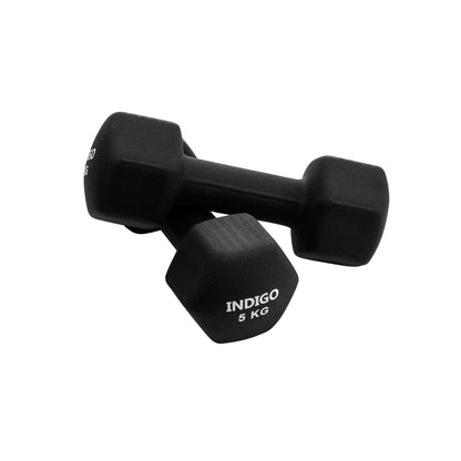 Mancuernas Hexagonales de Neopreno INDIGO